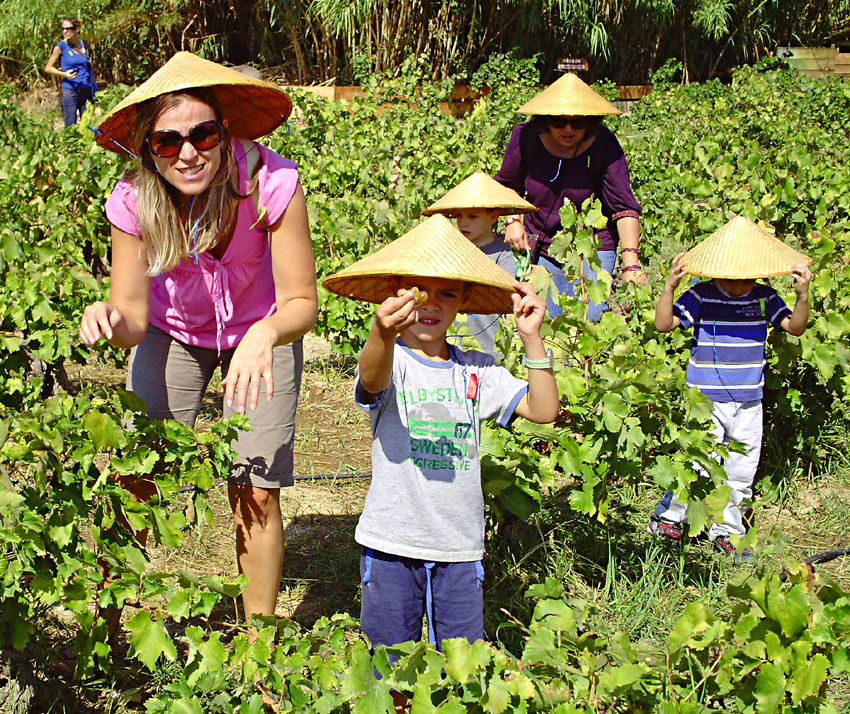 «Τρύγος και πάτημα σταφυλιών» στο Πολιτιστικό Πάρκο