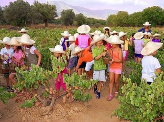Εκπαιδευτικό Βιωματικό Πρόγραμμα «Τρυγοπατι»