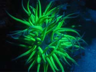 Η Επιστήμη πάει Παραλία