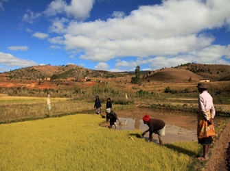 Ταξιδεύοντας: Μαδαγασκάρη: ακολουθώντας τον ΡΝ7, 21/2 ΝΕΤ
