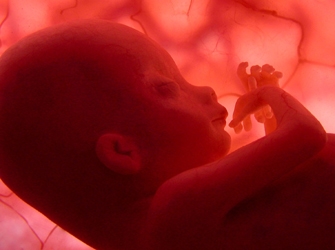 «Το θαύμα της ζωής: τρίδυμα», στον ΣΚΑΪ