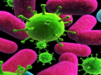 «Τα ανθρώπινα κύτταρα», από τον φακό του Lennart Nilsson