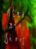 Μέσα στο Δάσος