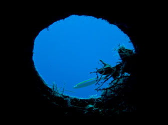 Μπάμπης Ξερικός