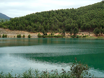 4o Ziria Music Festival