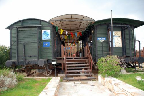 Μία Κυριακή στο Κέντρο Διάσωσης Θαλασσίων Χελωνών στη Γλυφάδα