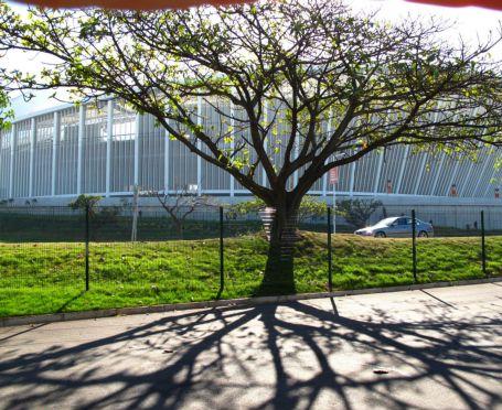 Οι μπαμπουίνοι, η κυρία Αλέκα και τα… δίκλινα της εθνικής