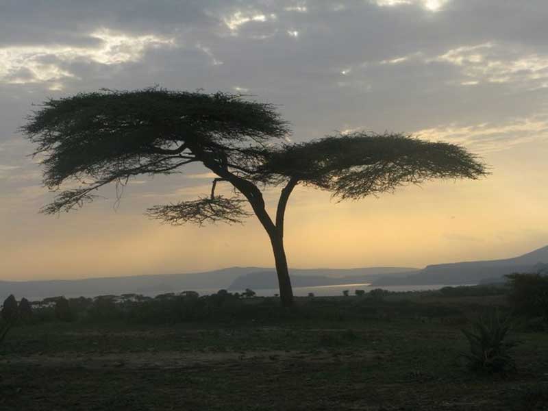 Από την Addis Abeba στο Nairobi