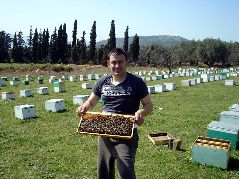 Το Αγρόκτημα Κουμούτση στα Παλιά Χάνια Πηλίου