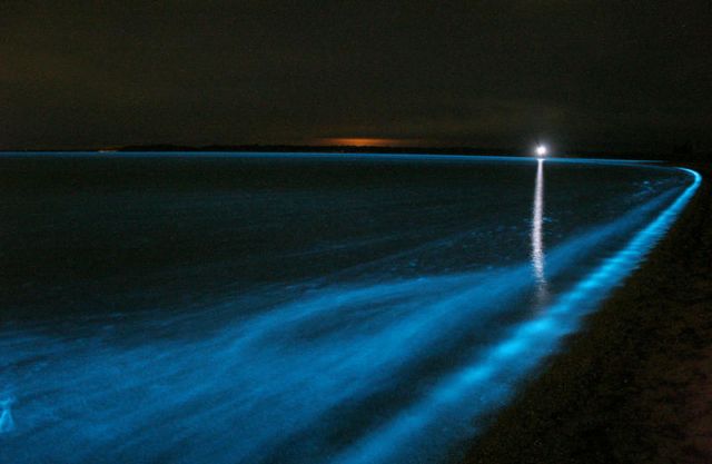 Λίμνες της Αυστραλίας λάμπουν στη νύχτα με βιοφωταύγεια