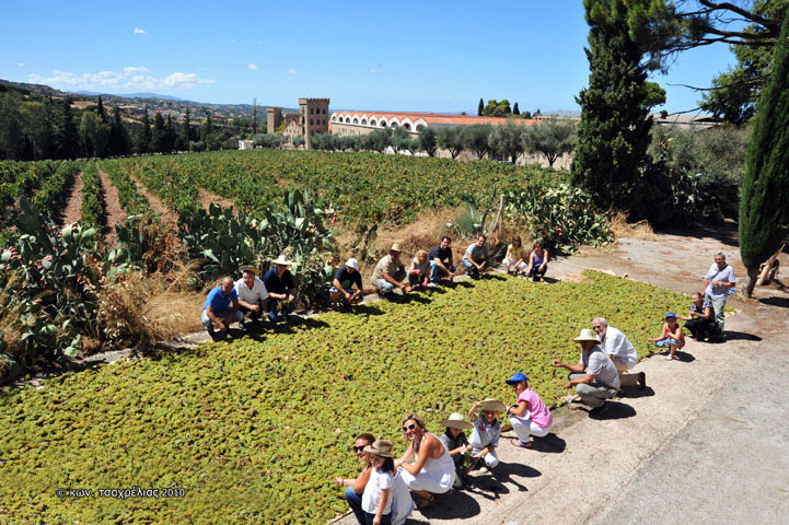Βόλτα στο οινόκαστρο της ACHAIA CLAUSS στο Πετρωτό Πατρών