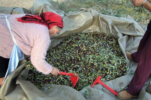 Πώς θα πληρώνονται οικιακοί βοηθοί και αγρεργάτες με την εφαρμογή του εργόσημου