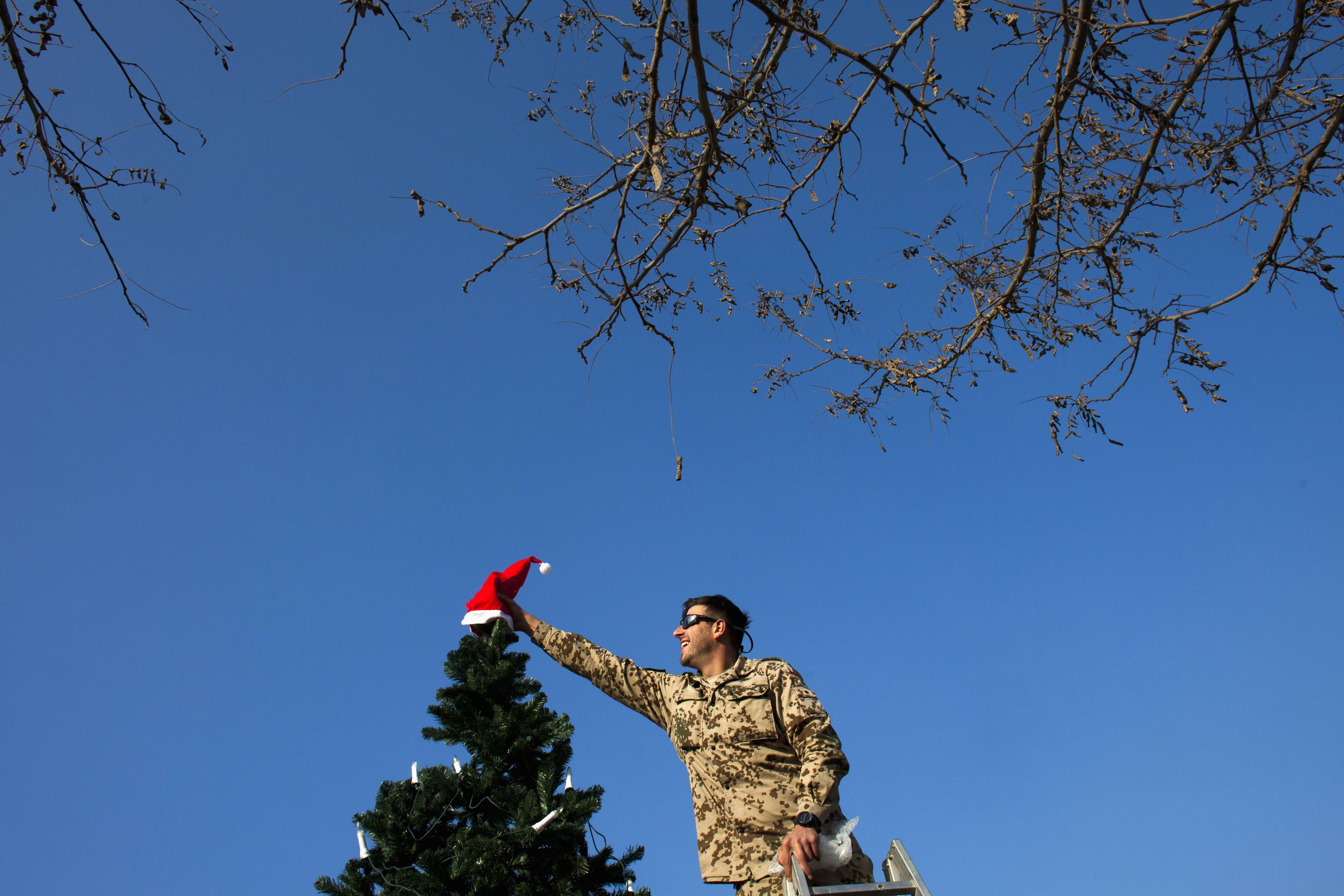 Ένα φωτογραφικό οδοιπορικό στα χριστουγεννιάτικα δέντρα του κόσμου