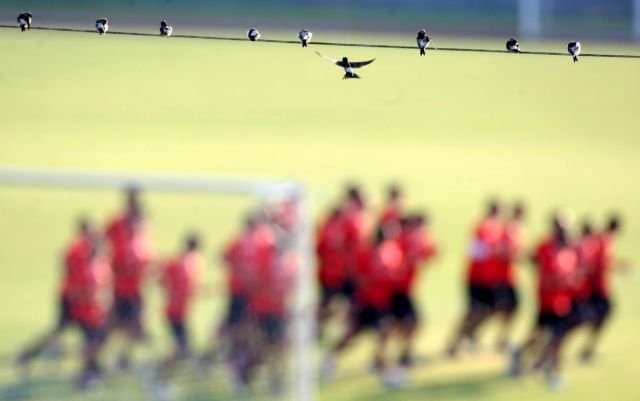 Οι αιτίες του πιθανού «ναυάγιου» με τον Χλεμπ στον Ολυμπιακό
