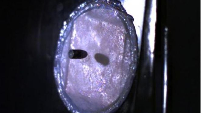 Αλεξίσφαιρο δέρμα δημιούργησαν Ολλανδοί επιστήμονες