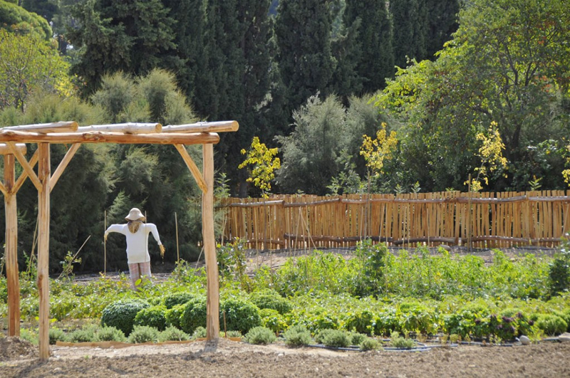 Η «Οργάνωση Γη» προσφέρει βιολογικά προϊόντα της σε ευπαθείς ομάδες