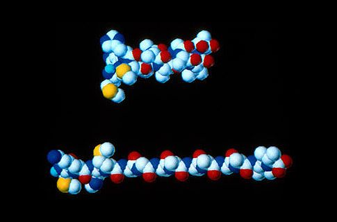 «Παθολογικές» πρωτεΐνες αποκαλύπτουν ένα παράξενο είδος εξέλιξης