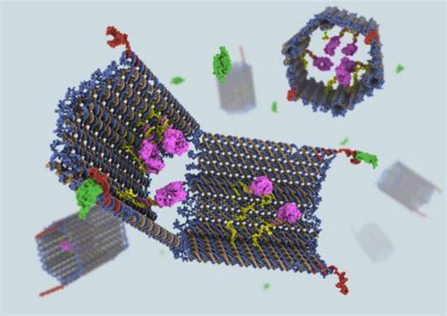 Πειραματικά νανορομπότ τα βάζουν με τον καρκίνο