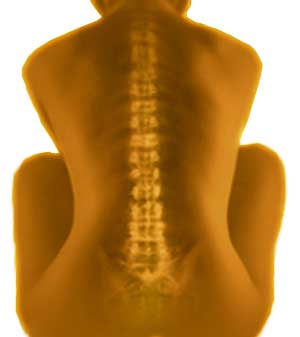 Νέα μονοπάτια στην Αντιμετώπιση της Οστεοπόρωσης ανοίγει η Βιοτεχνολογία