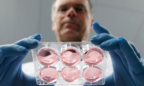 Μπιφτέκι «του σωλήνα» σύντομα διαθέσιμο