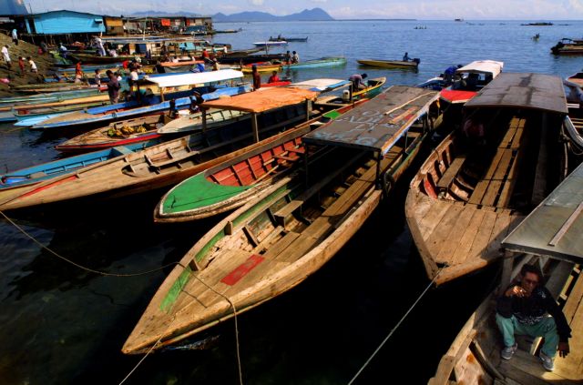 Μεσαιωνικό μενταγιόν βρέθηκε στην κοιλιά ενός μωρού καρχαρία στη Μαλαισία