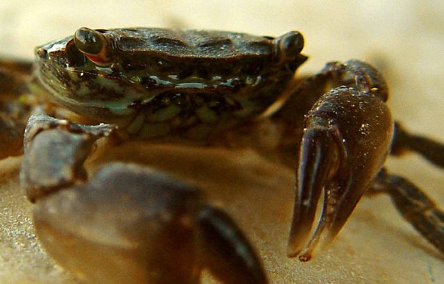 Έως τις 31 Μαΐου οι συμμετοχές για τα International Photography Awards