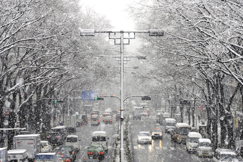 Η φωτογραφία της ημέρας: Τετάρτη 29 Φεβρουαρίου 2012 Ιαπωνία Τόκιο: Η κακοκαιρία κυριεύει την ανατολική Ιαπωνία