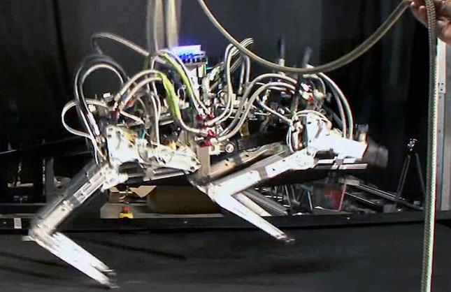 Μηχανικός γατόπαρδος ανακηρύσσεται το ταχύτερο ρομπότ με πόδια