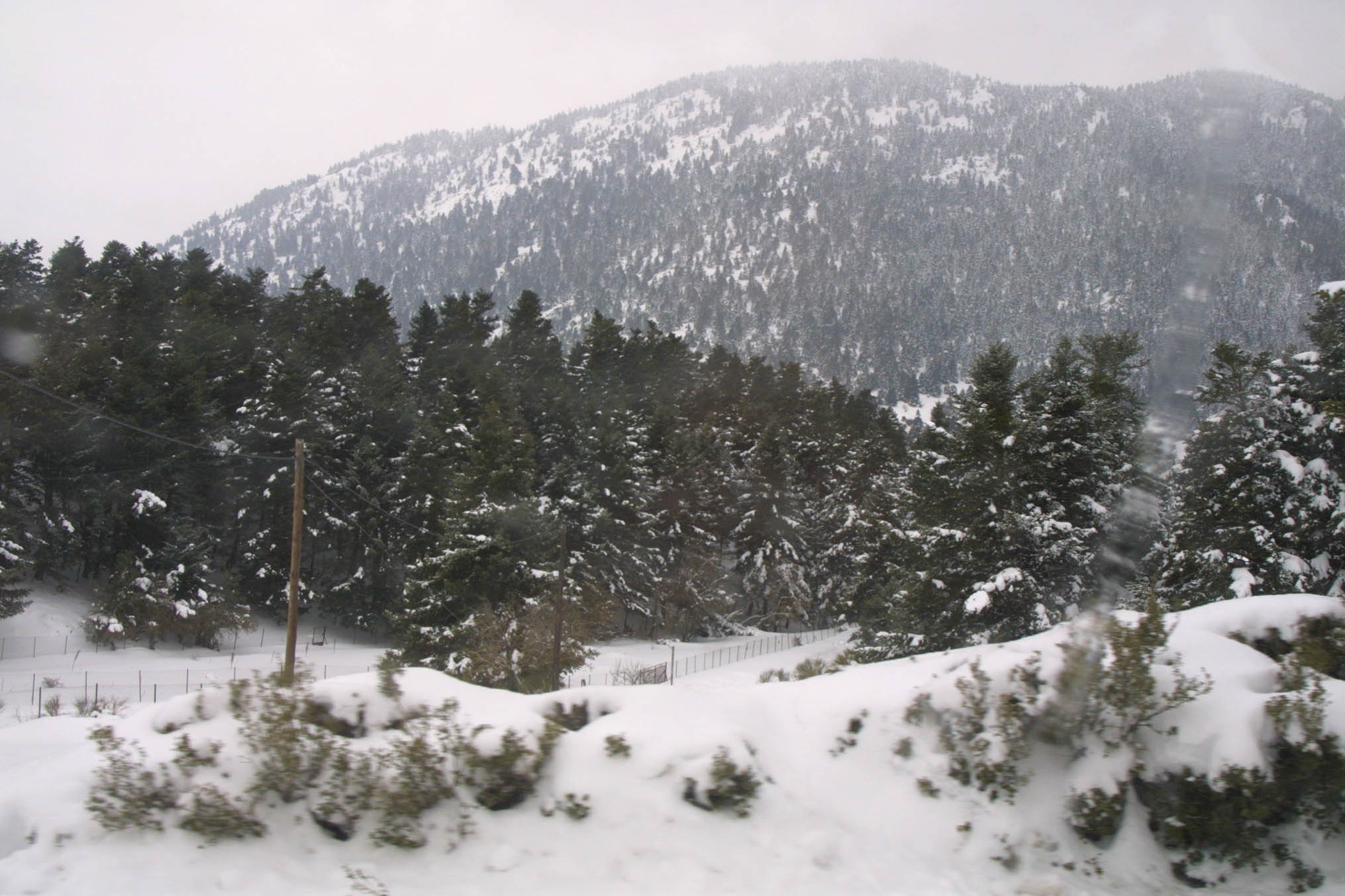 Eπιχείρηση διάσωσης τριών Σουηδών χιονοδρόμων στη Βασιλίτσα