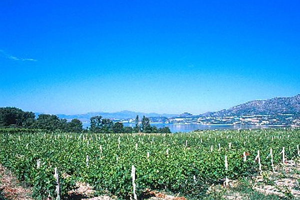 Εκδρομή στο Βελβεντό και γνωριμία με τα κρασιά του