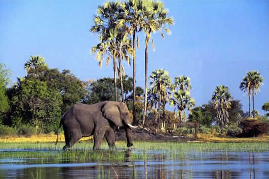 Η μεγαλύτερη προστατευόμενη περιοχή του κόσμου για την άγρια ζωή της Αφρικής