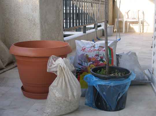 Τι χρειάζομαι για να φυτέψω σε μια γλάστρα