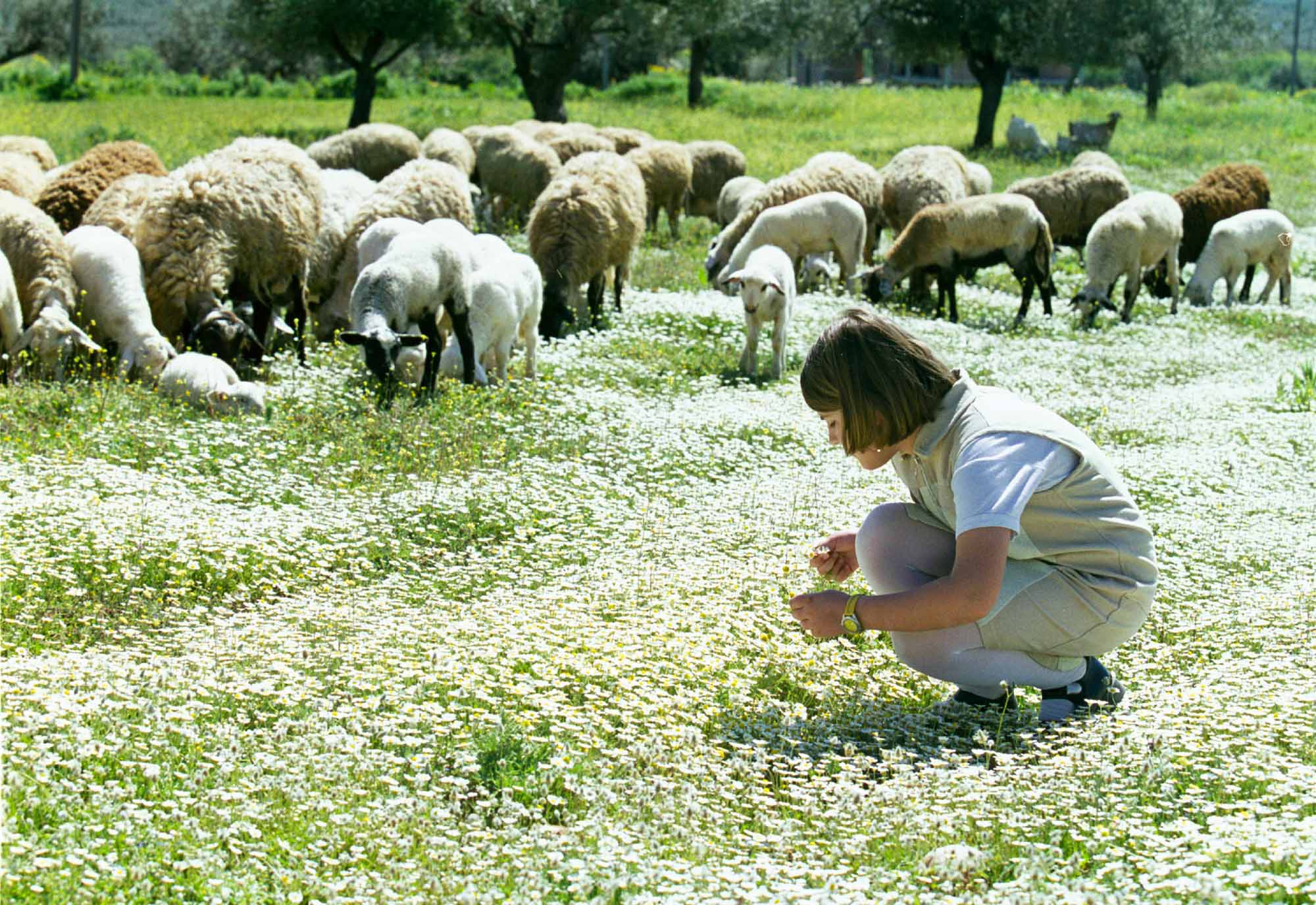 Σκέψεις επιστροφής στην ύπαιθρο «καλλιεργούν» όλο και περισσότεροι νέοι