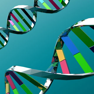 Αλλαγές στο DNA επιφέρει η αλλαγή του κοινωνικού status