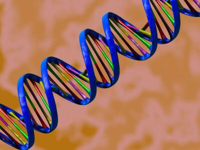 Συνθετικό ανάλογο του DNA «γενετικό υλικό για νέες μορφές ζωής»