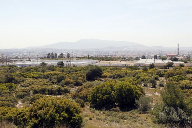 Ένταση και πάλι το απόγευμα στην περιοχή της Αμυγδαλέζας