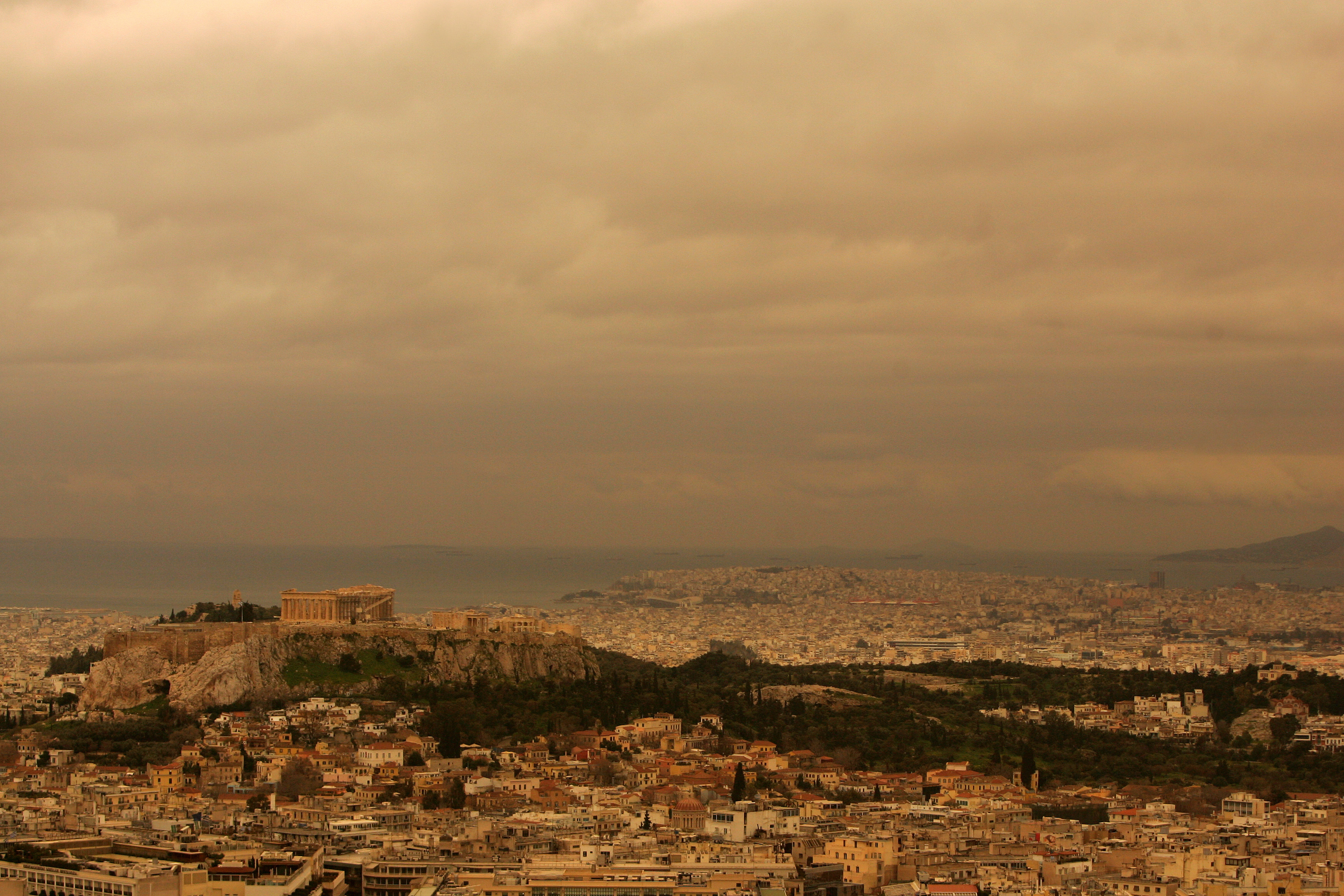 Ανοιχτή επιστολή της WWF προς τα κόμματα που μετέχουν στις εκλογές