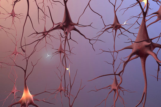 Μηχανισμός προστασίας των εγκεφαλικών κυττάρων δημιουργεί ελπίδες θεραπείας των νόσων Πάρκινσον και Αλτσχάιμερ