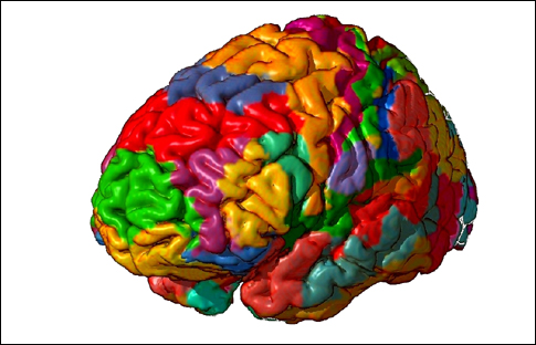 Διαφορετική εγκεφαλική δομή έχουν όσοι έχουν διαπράξει βίαια εγκλήματα