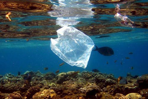 Δραματική αύξηση στα πλαστικά που επιπλέουν στον Ειρηνικό
