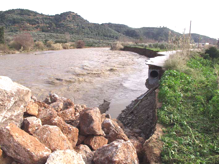 Βοήθεια ζητά ο Δ.Ευρώτα για την αντιμετώπιση της ελονοσίας