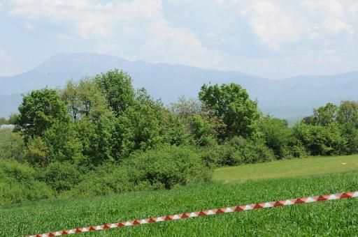 Αρκτούρος: Απομάκρυνση  αρκούδας με νεογέννητο που είχε φωλιάσει στο Τσοτύλι