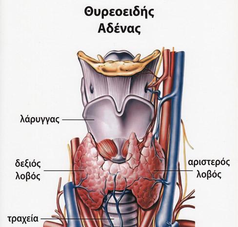 Αύξηση των παθήσεων του θυρεοειδούς αδένα