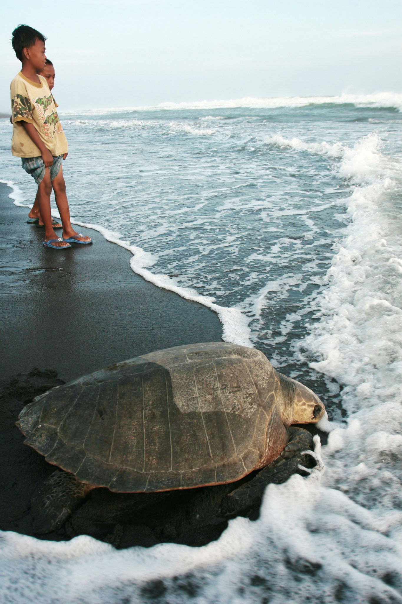 Παγκόσμια Ημέρα Περιβάλλοντος: Από την περιβαλλοντική εκπαίδευση στην εκπαίδευση για τη βιώσιμη ανάπτυξη