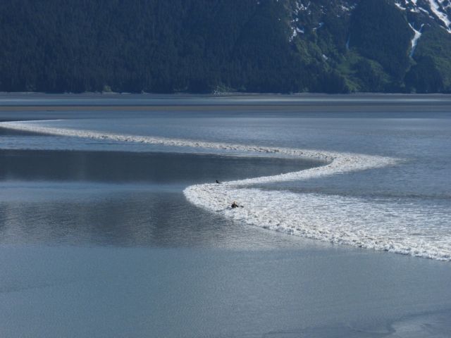 Η Αλάσκα θαυμάζει το μεγαλύτερο παλιρροϊκό κύμα του καλοκαιριού
