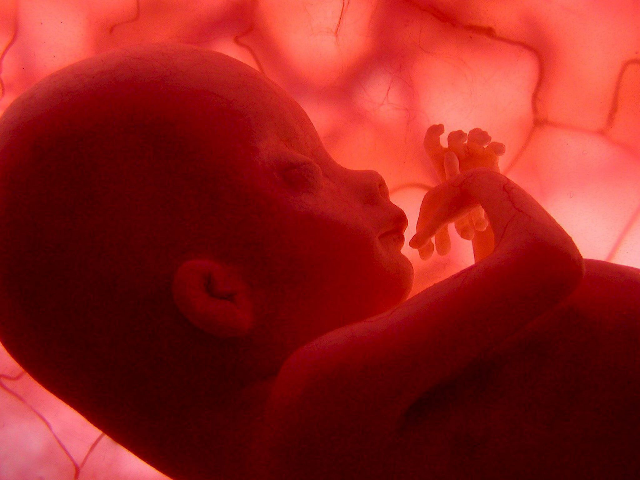 Προγεννητική ανάγνωση του DNA του εμβρύου πέτυχαν Αμερικανοί επιστήμονες