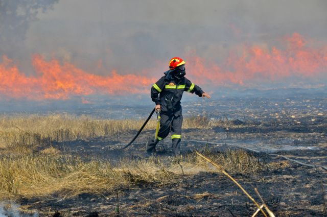 Νέες προσλήψεις 406 εποχικών πυροσβεστών ενέκρινε το ΣτΕ