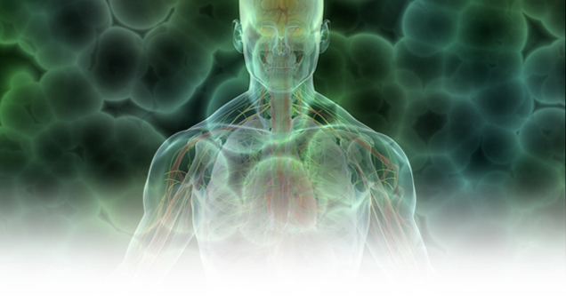 Τρισεκατομμύρια μικρόβια ζουν στο ανθρώπινο σώμα