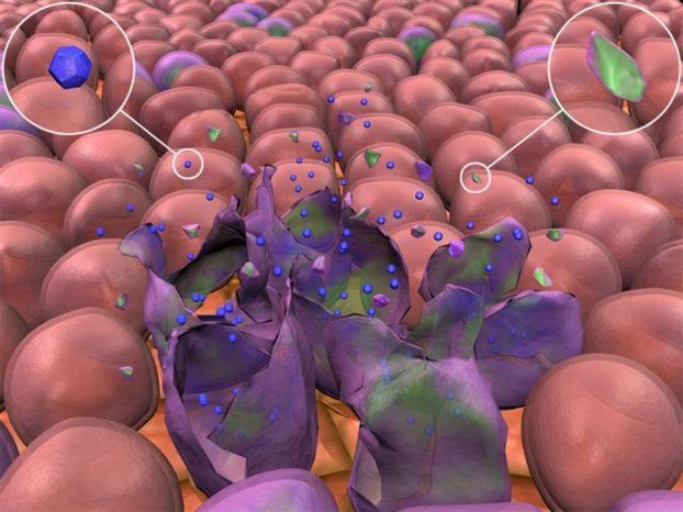 Ιός του κοινού κρυολογήματος δοκιμάζεται ως αντικαρκινική θεραπεία