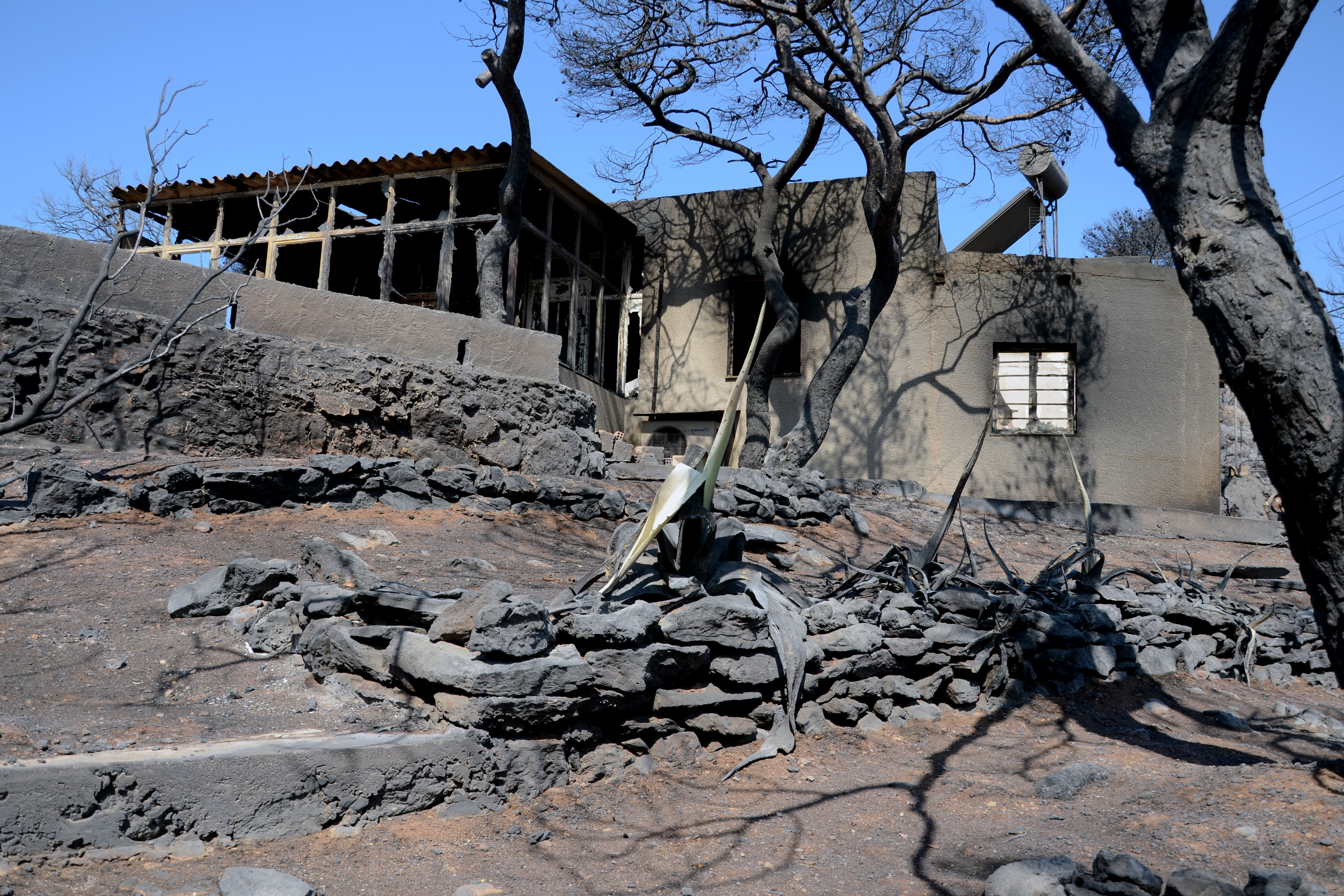 Σε ύφεση η πυρκαγιά στη Λαυρεωτική – Σε επιφυλακή η Πυροσβεστική σε όλη τη χώρα
